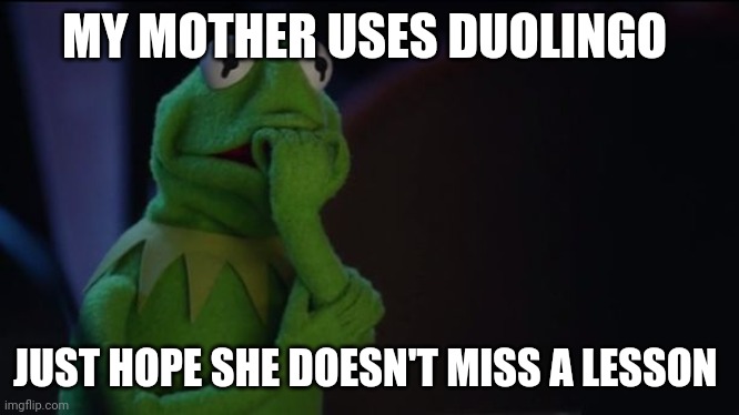 Kermit worried face | MY MOTHER USES DUOLINGO; JUST HOPE SHE DOESN'T MISS A LESSON | image tagged in kermit worried face | made w/ Imgflip meme maker