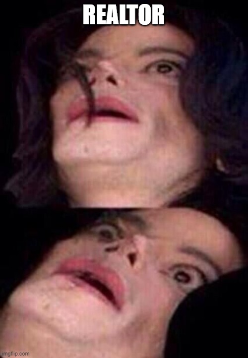 Michael Jackson Shock | REALTOR | image tagged in michael jackson shock | made w/ Imgflip meme maker
