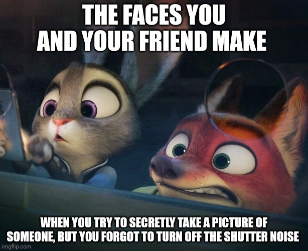 Judy and Nick's Photo Finish | THE FACES YOU AND YOUR FRIEND MAKE; WHEN YOU TRY TO SECRETLY TAKE A PICTURE OF SOMEONE, BUT YOU FORGOT TO TURN OFF THE SHUTTER NOISE | image tagged in judy hopps and nick wilde shocked,zootopia,judy hopps,nick wilde,the face you make when,funny | made w/ Imgflip meme maker