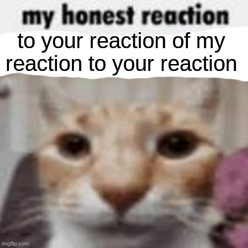 My Honest Reaction | to your reaction of my reaction to your reaction | image tagged in my honest reaction | made w/ Imgflip meme maker