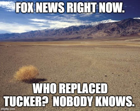 Tucker Carlson fox news | FOX NEWS RIGHT NOW. WHO REPLACED TUCKER?  NOBODY KNOWS. | image tagged in desert tumbleweed,tucker carlson,fox news | made w/ Imgflip meme maker