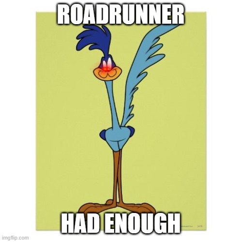 Roadrunner  | ROADRUNNER HAD ENOUGH | image tagged in roadrunner | made w/ Imgflip meme maker