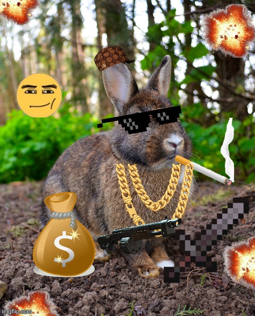 Super Striker Swagger Rabbit | image tagged in swaggers,swag,rabbits,funny memes | made w/ Imgflip meme maker
