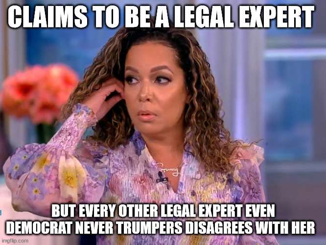 CLAIMS TO BE A LEGAL EXPERT; BUT EVERY OTHER LEGAL EXPERT EVEN DEMOCRAT NEVER TRUMPERS DISAGREES WITH HER | made w/ Imgflip meme maker