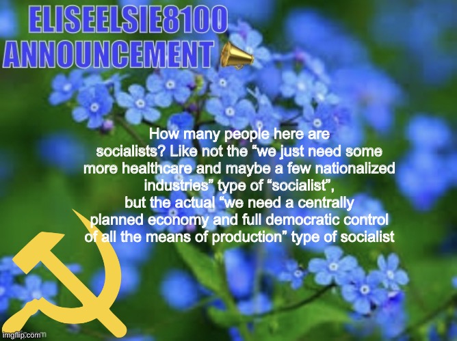 Just curious about y’all | How many people here are socialists? Like not the “we just need some more healthcare and maybe a few nationalized industries” type of “socialist”, but the actual “we need a centrally planned economy and full democratic control of all the means of production” type of socialist | image tagged in elizabeth won t shut up about antisemitism so i won t shut up ab | made w/ Imgflip meme maker