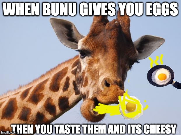 disqusting eggs | WHEN BUNU GIVES YOU EGGS; THEN YOU TASTE THEM AND ITS CHEESY | image tagged in comeback giraffe | made w/ Imgflip meme maker