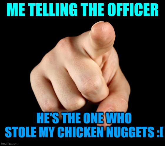 That’s him officer | ME TELLING THE OFFICER; HE'S THE ONE WHO STOLE MY CHICKEN NUGGETS :[ | image tagged in that s him officer | made w/ Imgflip meme maker