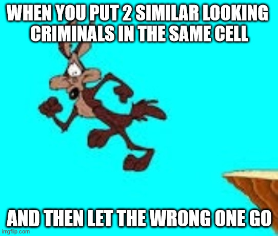 Freaky Friday Jailbird Edition | WHEN YOU PUT 2 SIMILAR LOOKING 
CRIMINALS IN THE SAME CELL; AND THEN LET THE WRONG ONE GO | image tagged in wile e coyote that moment when | made w/ Imgflip meme maker