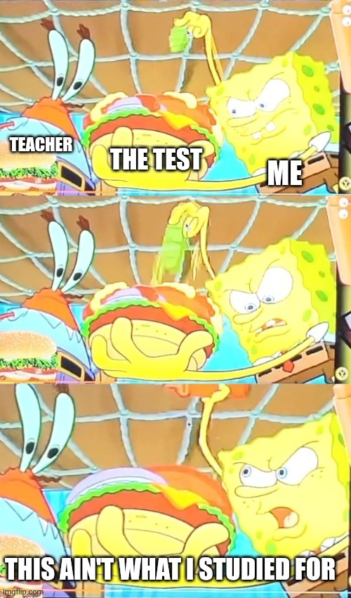 Exams | TEACHER; THE TEST; ME; THIS AIN'T WHAT I STUDIED FOR | image tagged in school,funny memes,spongebob,mr krabs,food | made w/ Imgflip meme maker