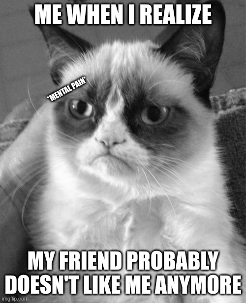 Grumpy Cat Meme | ME WHEN I REALIZE; *MENTAL PAIN*; MY FRIEND PROBABLY DOESN'T LIKE ME ANYMORE | image tagged in memes,grumpy cat,no friends | made w/ Imgflip meme maker