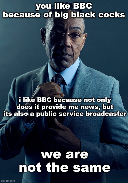 Gus Fring we are not the same | you like BBC because of big black cocks; i like BBC because not only does it provide me news, but its also a public service broadcaster; we are not the same | image tagged in gus fring we are not the same | made w/ Imgflip meme maker