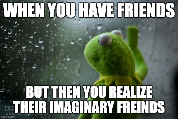 kermit window | WHEN YOU HAVE FRIENDS; BUT THEN YOU REALIZE THEIR IMAGINARY FREINDS | image tagged in kermit window | made w/ Imgflip meme maker