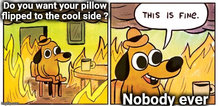 This Is Fine Meme | Do you want your pillow flipped to the cool side ? Nobody ever | image tagged in memes,this is fine | made w/ Imgflip meme maker