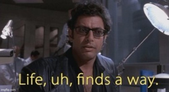 Life finds a way | image tagged in life finds a way | made w/ Imgflip meme maker