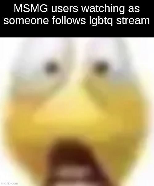 Shocked | MSMG users watching as someone follows lgbtq stream | image tagged in shocked | made w/ Imgflip meme maker