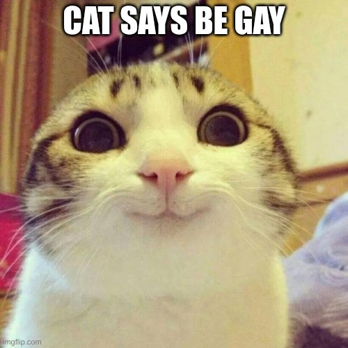 CAT | CAT SAYS BE GAY | image tagged in memes,smiling cat | made w/ Imgflip meme maker