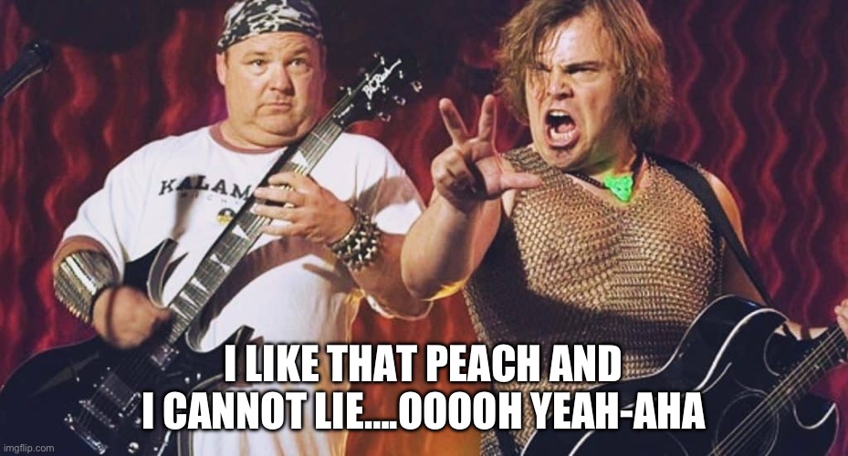 Tenacious D and the Peach of Destiny | I LIKE THAT PEACH AND I CANNOT LIE….OOOOH YEAH-AHA | image tagged in tenacious d,jack black,princess peach,king coopa,super mario bros,funny memes | made w/ Imgflip meme maker