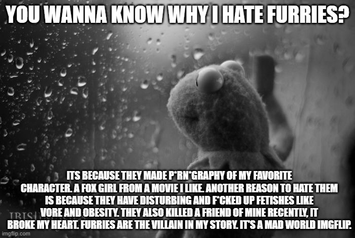 what I mentioned are real events. Furries have ruined my life. not all of them are bad people. but i still hate them. | YOU WANNA KNOW WHY I HATE FURRIES? ITS BECAUSE THEY MADE P*RN*GRAPHY OF MY FAVORITE CHARACTER. A FOX GIRL FROM A MOVIE I LIKE. ANOTHER REASON TO HATE THEM IS BECAUSE THEY HAVE DISTURBING AND F*CKED UP FETISHES LIKE VORE AND OBESITY. THEY ALSO KILLED A FRIEND OF MINE RECENTLY, IT BROKE MY HEART. FURRIES ARE THE VILLAIN IN MY STORY. IT'S A MAD WORLD IMGFLIP. | image tagged in true story,sad,furry,anti furry,tragedy,facts | made w/ Imgflip meme maker