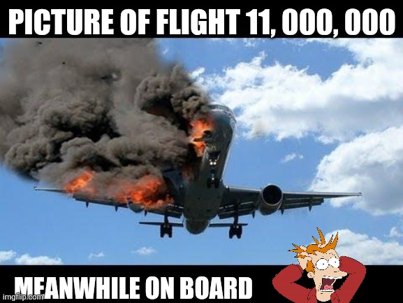 plane crash | PICTURE OF FLIGHT 11, 000, 000 MEANWHILE ON BOARD | image tagged in plane crash | made w/ Imgflip meme maker