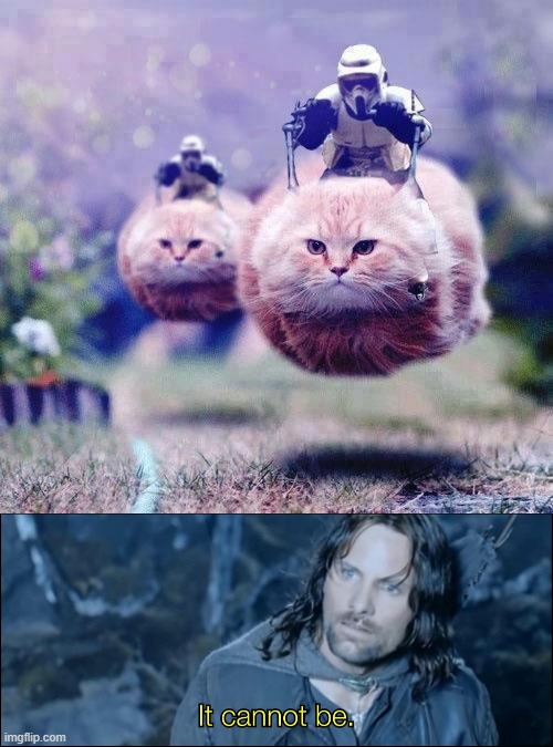 An Impossibility | image tagged in star wars,stormtroopers,cats,aragorn,lord of the rings,the lord of the rings | made w/ Imgflip meme maker