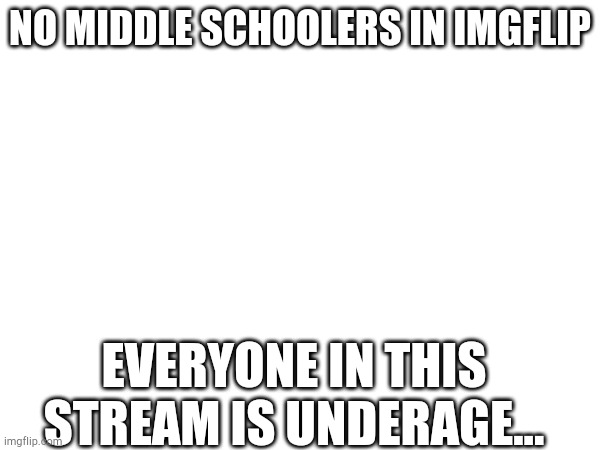No offense...  just saying | NO MIDDLE SCHOOLERS IN IMGFLIP; EVERYONE IN THIS STREAM IS UNDERAGE... | image tagged in so true memes,memes,funny | made w/ Imgflip meme maker