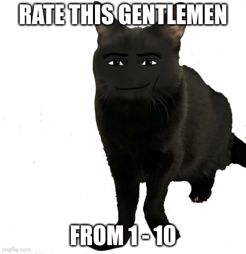 RATE THIS GENTLEMEN; FROM 1 - 10 | image tagged in no tags | made w/ Imgflip meme maker