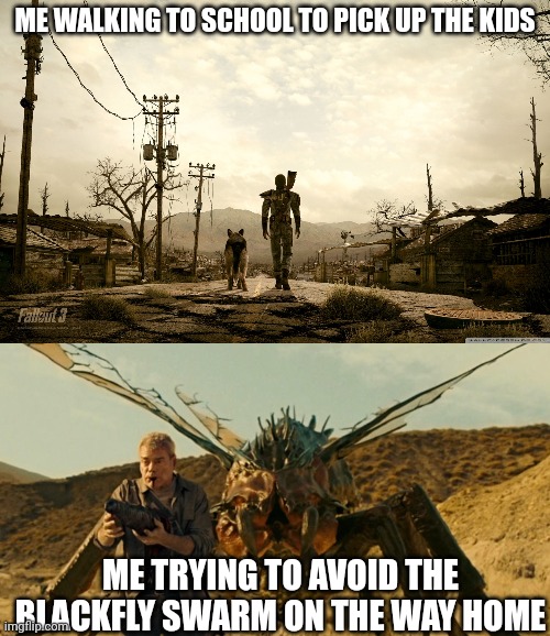 ME WALKING TO SCHOOL TO PICK UP THE KIDS; ME TRYING TO AVOID THE BLACKFLY SWARM ON THE WAY HOME | image tagged in fallout 3,fallout new vegas cazadore | made w/ Imgflip meme maker