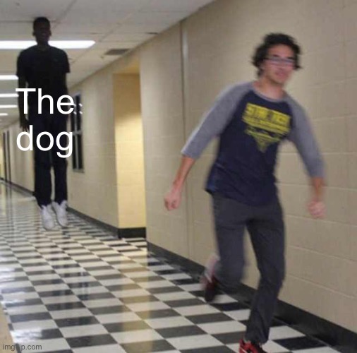 floating boy chasing running boy | The dog | image tagged in floating boy chasing running boy | made w/ Imgflip meme maker