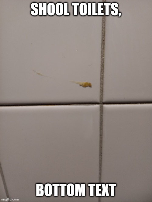 SHOOL TOILETS, BOTTOM TEXT | made w/ Imgflip meme maker