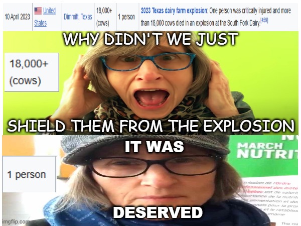 Title | WHY DIDN'T WE JUST; SHIELD THEM FROM THE EXPLOSION; IT WAS; DESERVED | image tagged in that vegan teacher | made w/ Imgflip meme maker