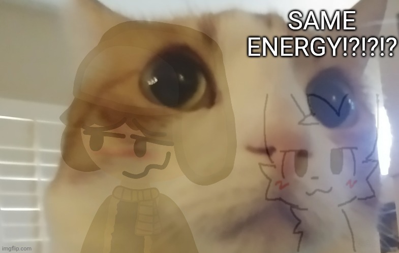 stohsneercsy pt. sd 26 : why | SAME ENERGY!?!?!? | made w/ Imgflip meme maker