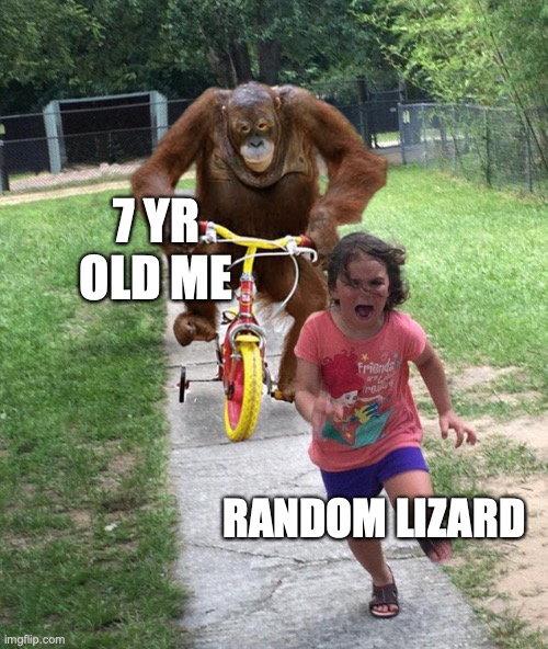 Chasing lizards | 7 YR OLD ME; RANDOM LIZARD | image tagged in orangutan chasing girl on a tricycle | made w/ Imgflip meme maker