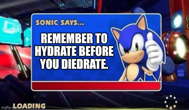 Sonic sez | REMEMBER TO HYDRATE BEFORE YOU DIEDRATE. | image tagged in sonic says | made w/ Imgflip meme maker