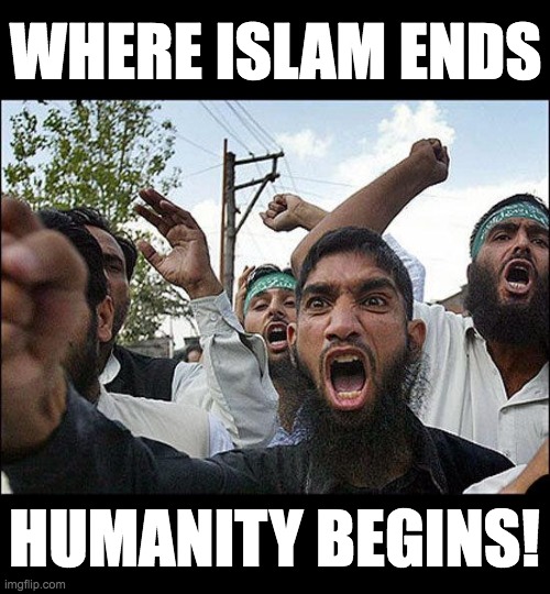 Muslim rage boy | WHERE ISLAM ENDS; HUMANITY BEGINS! | image tagged in muslim rage boy | made w/ Imgflip meme maker