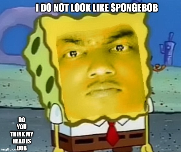 Spunglebobble | I DO NOT LOOK LIKE SPONGEBOB; DO YOU THINK MY HEAD IS
BOB | image tagged in memes | made w/ Imgflip meme maker