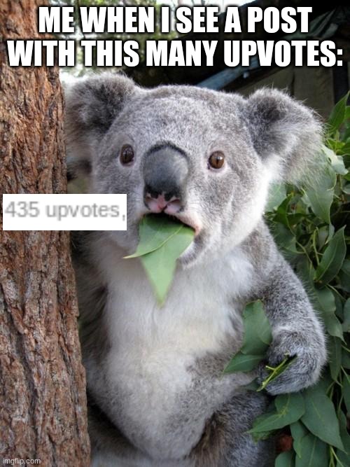 So many upvotes | ME WHEN I SEE A POST WITH THIS MANY UPVOTES: | image tagged in memes,surprised koala,relatable | made w/ Imgflip meme maker