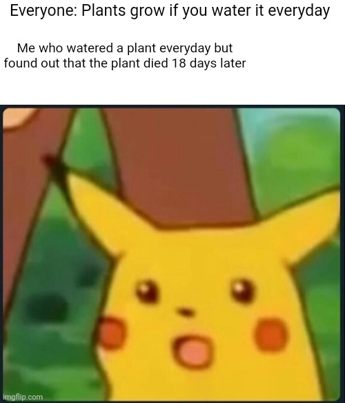 July 2020 Plant Incident | Everyone: Plants grow if you water it everyday; Me who watered a plant everyday but found out that the plant died 18 days later | image tagged in surprised pikachu,plants,lies | made w/ Imgflip meme maker