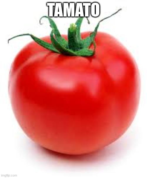 tomato | TAMATO | image tagged in tomato | made w/ Imgflip meme maker