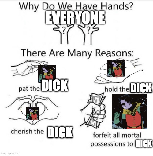Why Do We Have Hands | EVERYONE; DICK; DICK; DICK; DICK | image tagged in why do we have hands | made w/ Imgflip meme maker