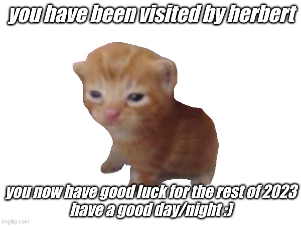you have been visited by herbert; you now have good luck for the rest of 2023
have a good day/night :) | image tagged in herbert | made w/ Imgflip meme maker