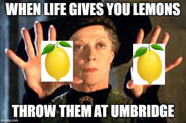 Harry Potter | WHEN LIFE GIVES YOU LEMONS; THROW THEM AT UMBRIDGE | image tagged in harry potter | made w/ Imgflip meme maker
