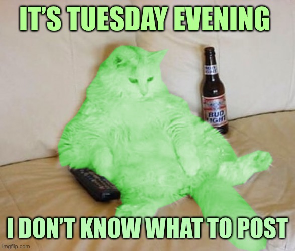 RayCat Chillin' | IT’S TUESDAY EVENING; I DON’T KNOW WHAT TO POST | image tagged in raycat chillin',memes,raycat | made w/ Imgflip meme maker