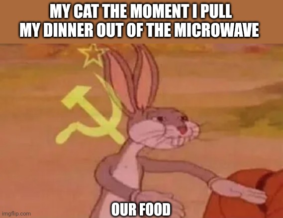 The Joy's of Cat Ownership | MY CAT THE MOMENT I PULL MY DINNER OUT OF THE MICROWAVE; OUR FOOD | image tagged in bugs bunny communist | made w/ Imgflip meme maker