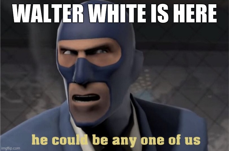 Who's waltuh | WALTER WHITE IS HERE | image tagged in he could be any one of us | made w/ Imgflip meme maker
