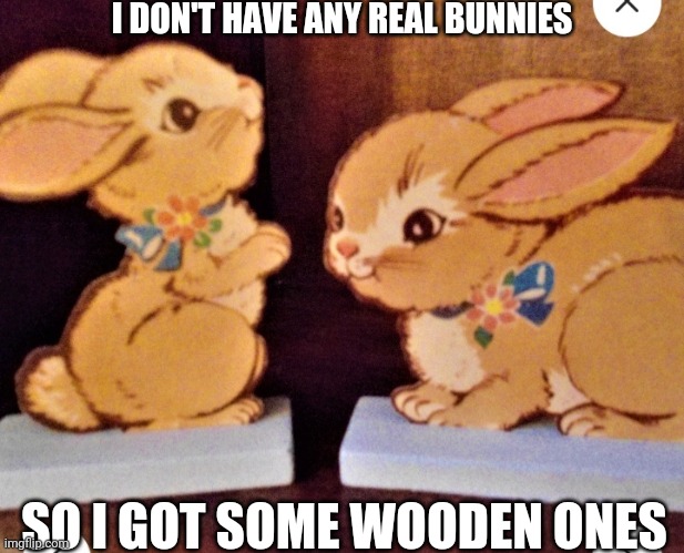 Have no bunnies | I DON'T HAVE ANY REAL BUNNIES; SO I GOT SOME WOODEN ONES | image tagged in bunnies,cute bunny,what am i doing with my life | made w/ Imgflip meme maker