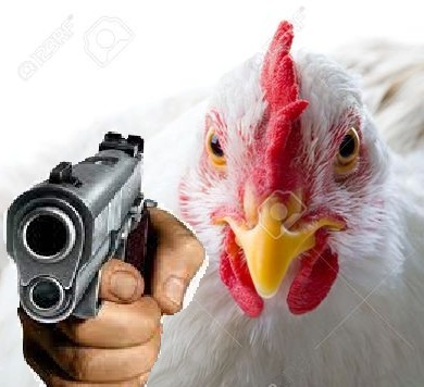 Chicken with a gun Blank Meme Template