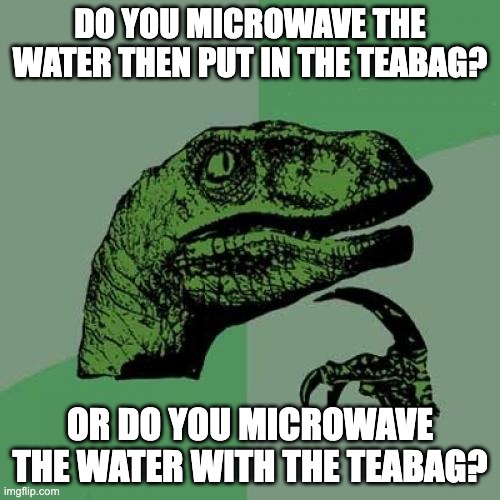 Philosoraptor | DO YOU MICROWAVE THE WATER THEN PUT IN THE TEABAG? OR DO YOU MICROWAVE THE WATER WITH THE TEABAG? | image tagged in memes,philosoraptor | made w/ Imgflip meme maker
