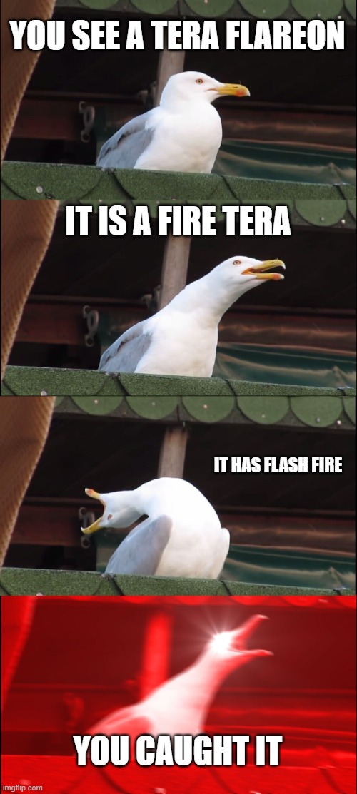 I named him flare btw | YOU SEE A TERA FLAREON; IT IS A FIRE TERA; IT HAS FLASH FIRE; YOU CAUGHT IT | image tagged in memes,inhaling seagull | made w/ Imgflip meme maker