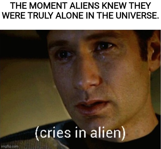 Humanity Failed | THE MOMENT ALIENS KNEW THEY WERE TRULY ALONE IN THE UNIVERSE. | image tagged in x files,mulder,crying,alien,aliens | made w/ Imgflip meme maker