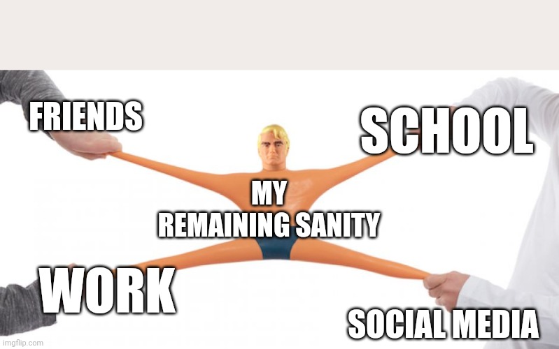 If only I had sanity | SCHOOL; FRIENDS; MY REMAINING SANITY; SOCIAL MEDIA; WORK | image tagged in memes,relateable,sad but true | made w/ Imgflip meme maker